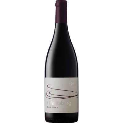Olifantsberg Carignan 2020